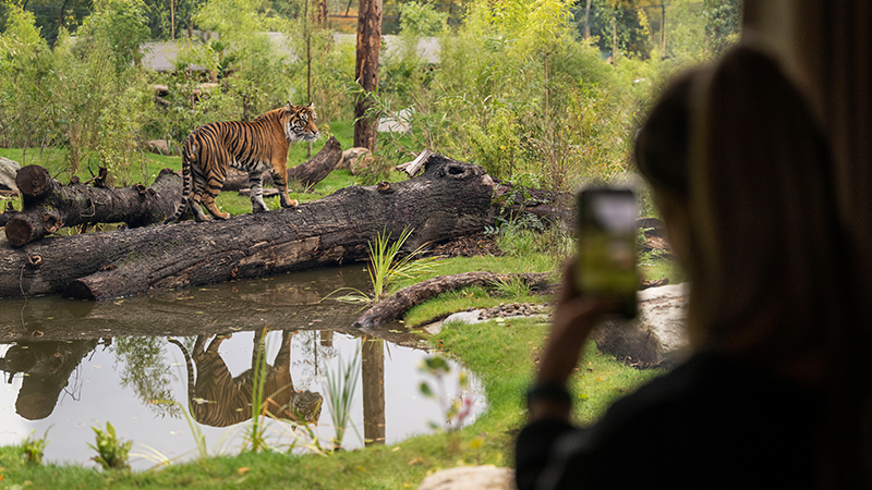 Partner Profile: West Midlands Safari Park