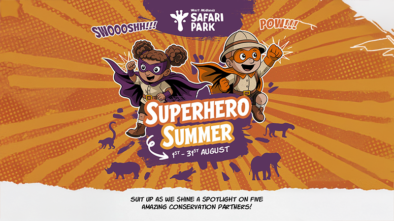 Superhero Summer at West Midlands Safari Park